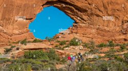 window world of phoenix reviews Discover Quality and Comfort