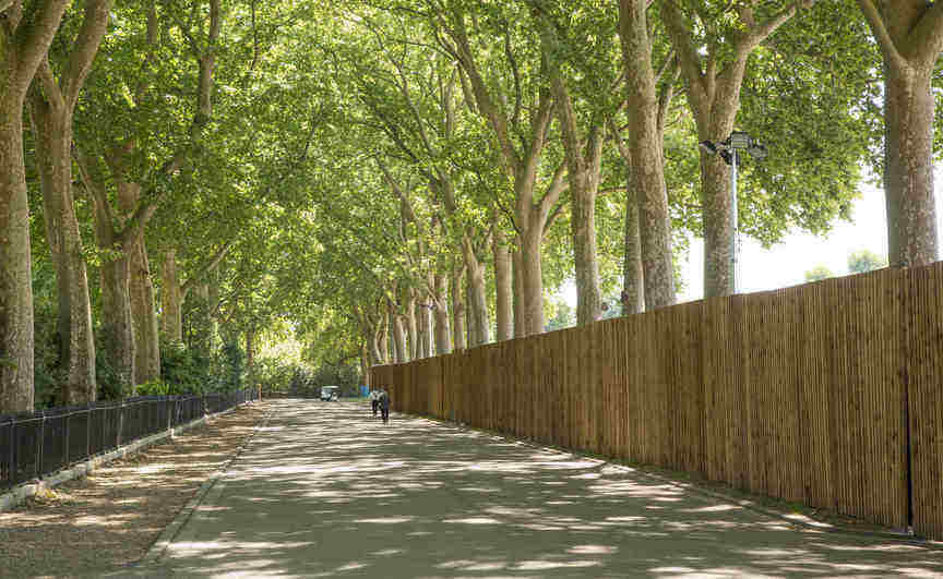 Smart Shield